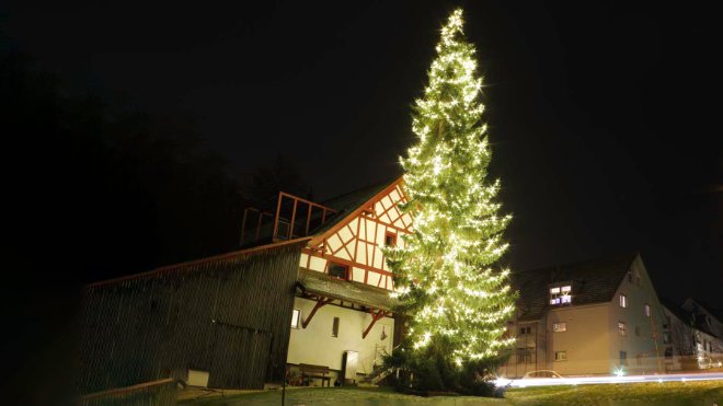 Weihnachtsbäume egal welcher Grösse können festlich mit Leuchten dekoriert werden.